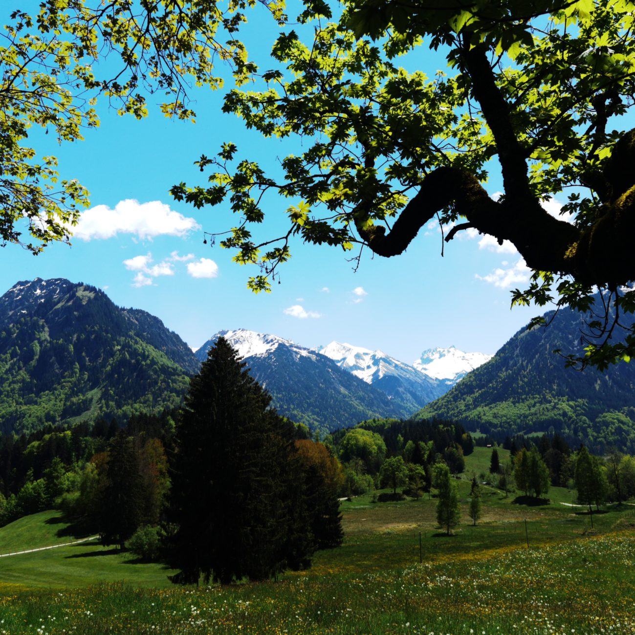 Bild des Tages #94 – Bergpanorama