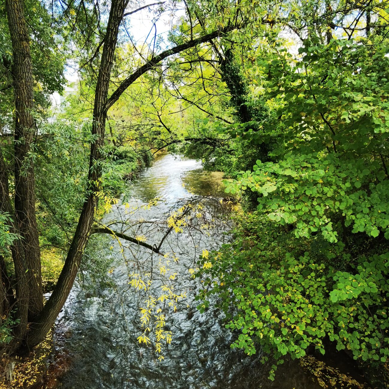 TÄGLICH EIN BILD — 15.10.2022 — 288.TAG — BILD #288 — Ermsblick